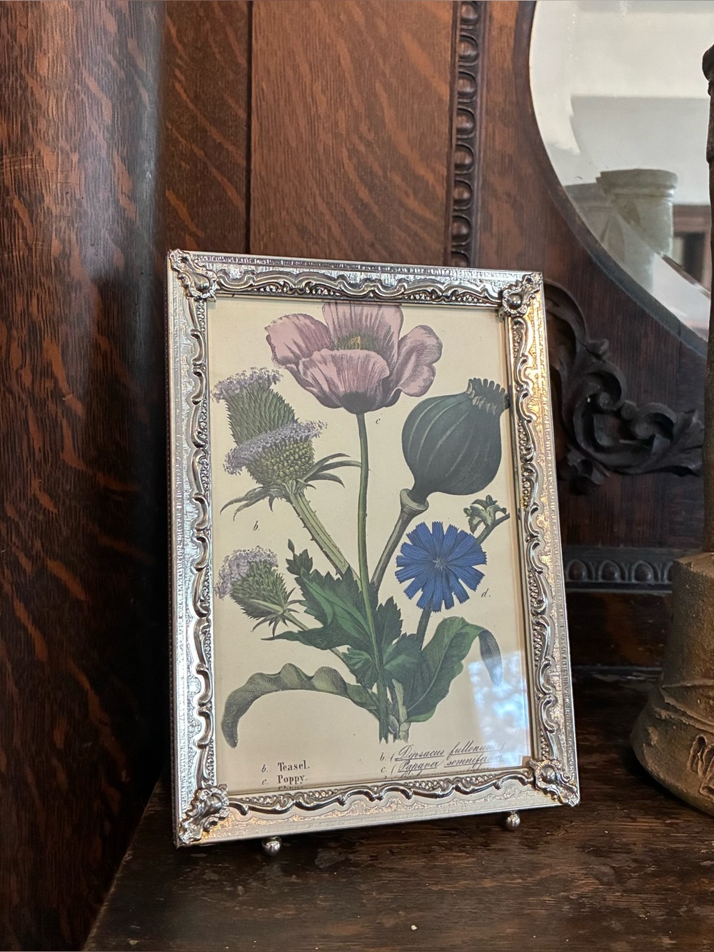 Vintage Silver Tone Ornate Metal Frame 5x7 Botanical Floral Print Stand